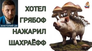Анатолий ДВ. ХОТЕЛ ГРЯБОФ, НАЖАРИЛ ШАХРАЁФФ