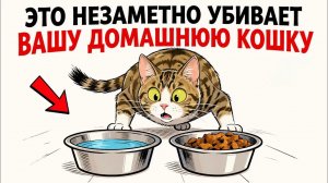 Если вы держите кошку дома, ЭТИ ОШИБКИ могут быть смертельны!