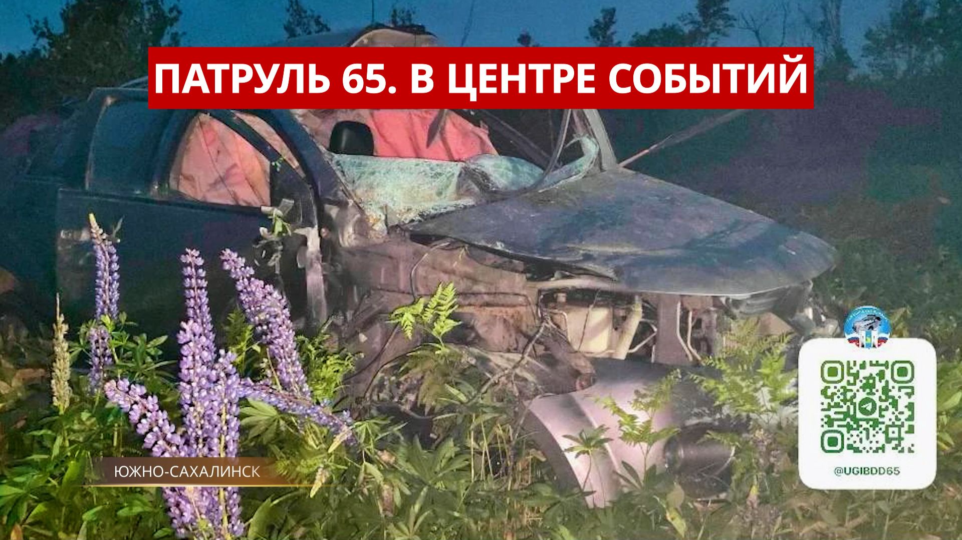 ПАТРУЛЬ 65. Медведь напал на машину, сорвал крестик с женщины и ДТП с мотоциклистом. Сахалин13.07.26 смотреть онлайн