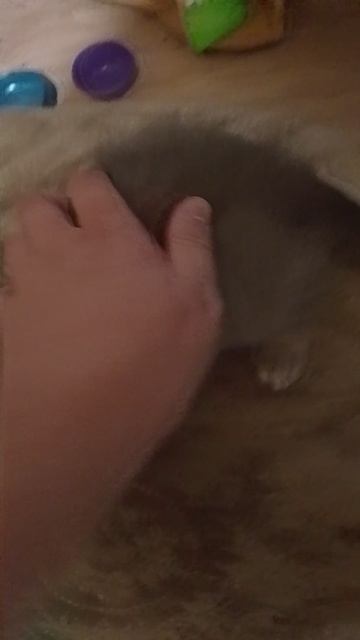 1000039559.mp4