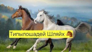 типы лошадей Шляйх ,Дарвин 🐎