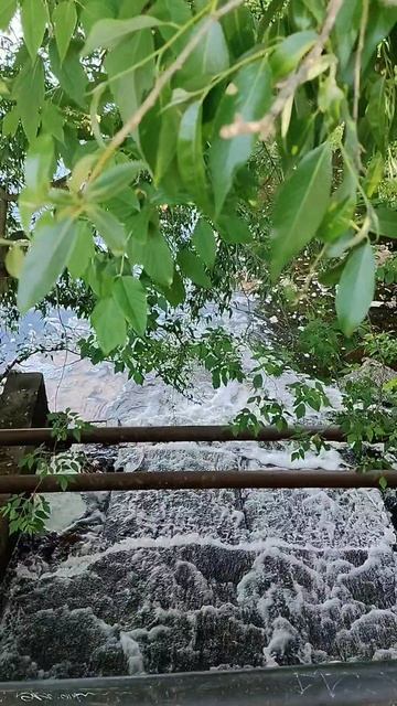 Пока лето от нас сбежало, наслаждаемся воспоминаниями и невероятными видами.
🌿💛☀️💦