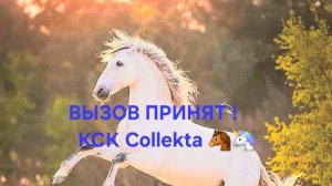 Вызов принят ! 🐴🦄🐎