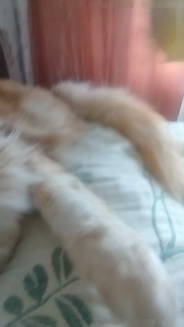 не захотел есть мороженое смотреть онлайн