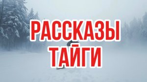 Рассказы тайги | лесные истории