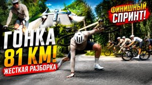 Жесткая шоссейная разборка на финишном спринте