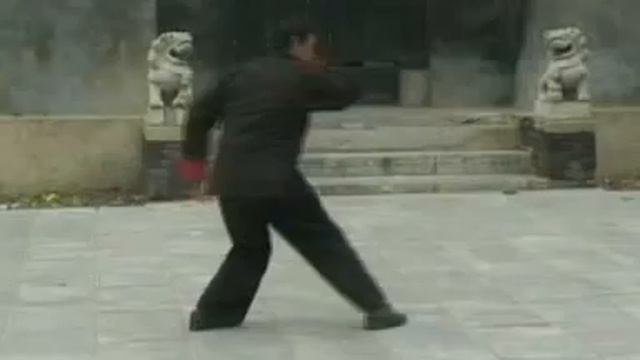 Chen-style Taijiquan Small Frame Route1