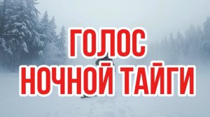 Голос. Таежные истории