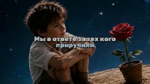Мы в ответе за тех кого приручили