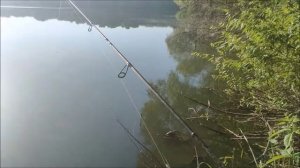 Рыбалка на Шиловском Котловане, 07 июля 2026 года, мкр. Шилово, г.Воронеж.