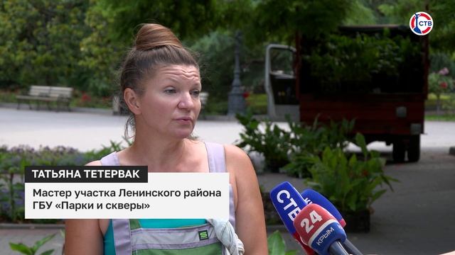 Клумбы Приморского бульвара украсили красные садовые канны