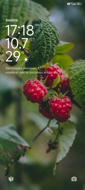 открываем еду которую подарили