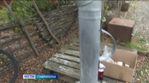 Туристы выбирают для отдыха красоты Поредгорья