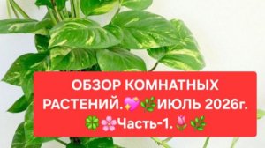 ОБЗОР КОМНАТНЫХ РАСТЕНИЙ.💖🌸 ИЮЛЬ 2026г.💖🌼 ЧАСТЬ-1.🍀🌺