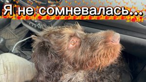 ❤️Наше райское место на Кубани/ Получилось на халяву/ Первый заплыв Самурая/