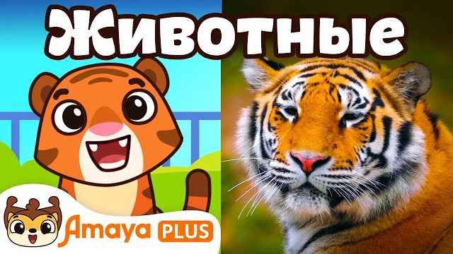 Зоопарк Учим животных Мультики для детей Песенки для детей