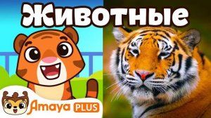 Зоопарк Учим животных Мультики для детей Песенки для детей