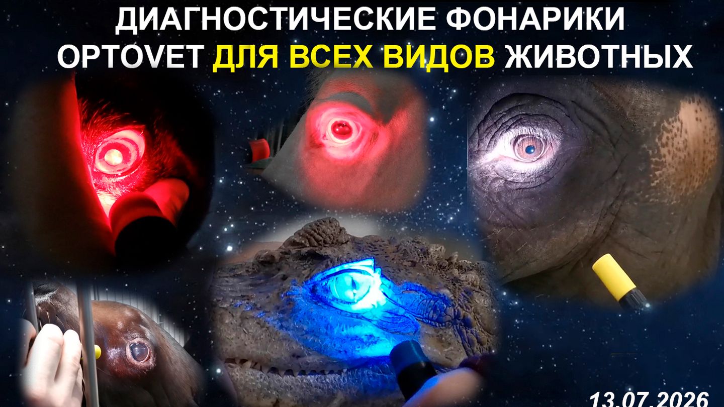 Диагностические офтальмологические фонарики для ВСЕХ видов животных