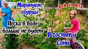 В гостях у Сони. Песка в воде больше не будет. Маринуем огурцы.
