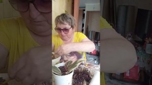 #посадка фикуса тиннеке