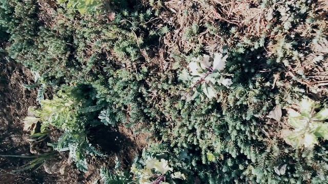 Один из дней города Евпатории | 9 апреля 2022 год | Крым ХАН БАТОН XAH 6ATOH | VID_20220409_142956