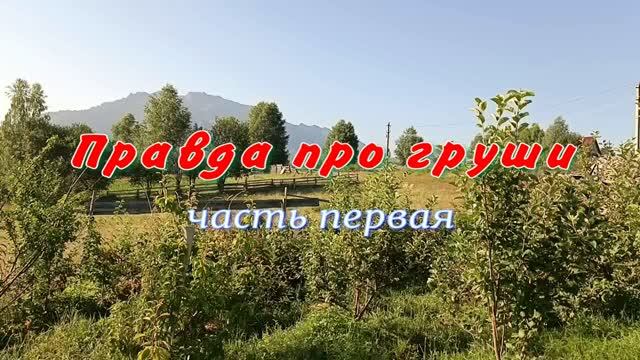 сад у Солопа