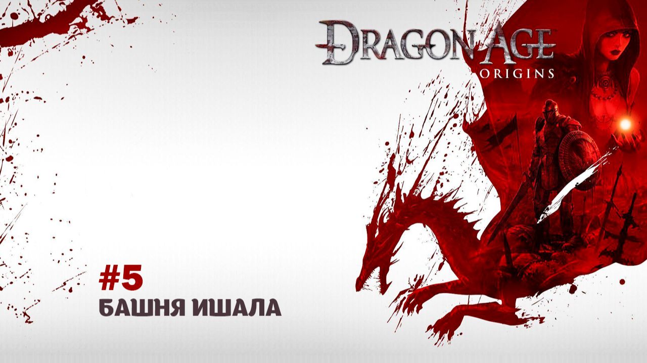 Dragon Age Origins