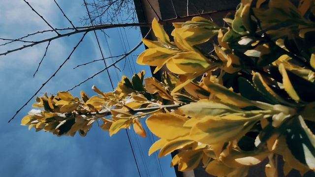 Один из дней города Евпатории | 9 апреля 2022 год | Крым ХАН БАТОН XAH 6ATOH | VID_20220409_142217