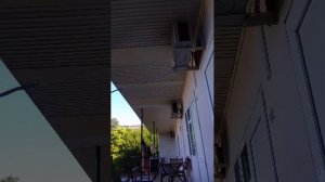 заходите сегодня шашлык будет