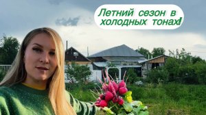 ПОВСЕДНЕВНЫЕ ЗАБОТЫ В ДЕРЕВНЕ/УХОД ЗА ТОМАТАМИ/ПРОБА НОВЫХ СОРТОВ КЛУБНИКИ