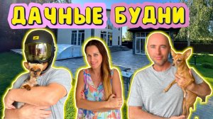 ДАЧНЫЕ БУДНИ