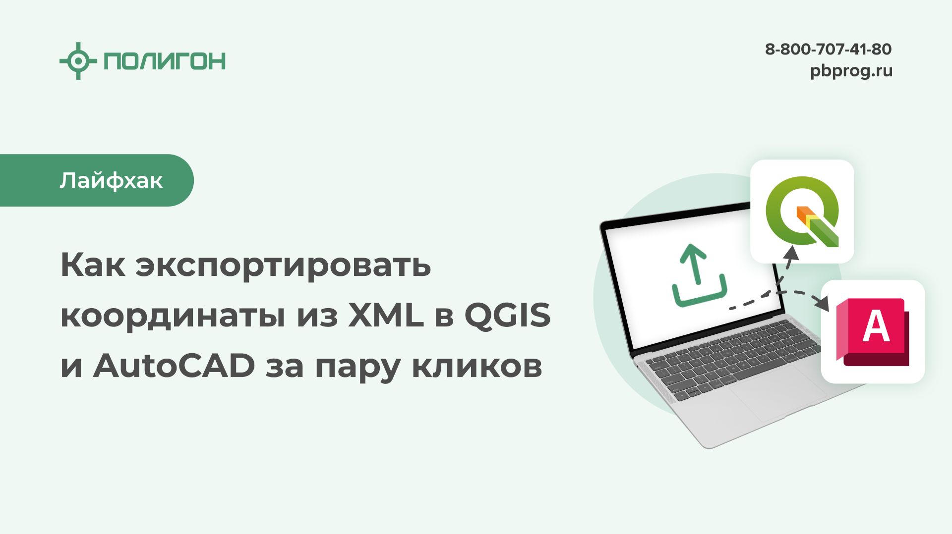 Лайфхаки работы в Полигон Про: Лесная декларация