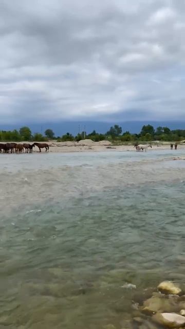Недвижимость в Абхазии