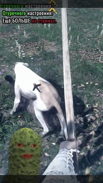 Сходили в лес #KingdomComeDeliverance