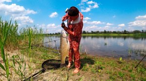 АМУР,САЗАН И ОСЕТРИНА !!! РЫБАЛКА НА ДОНУ