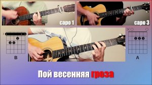 Павел Пламенев - Тише кошачьих шагов 🎸 акустический кавер