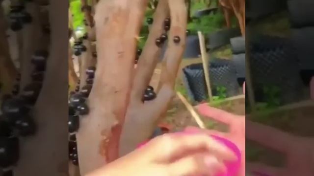 БЫВАЕТ смотреть онлайн