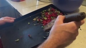 КУПИЛ ДОМ В ДЕРЕВНЕ / БРУСНИКА НА ЗИМУ
