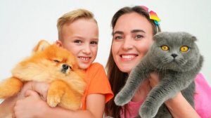 Влад и мама обмениваются домашними кошками и собаками