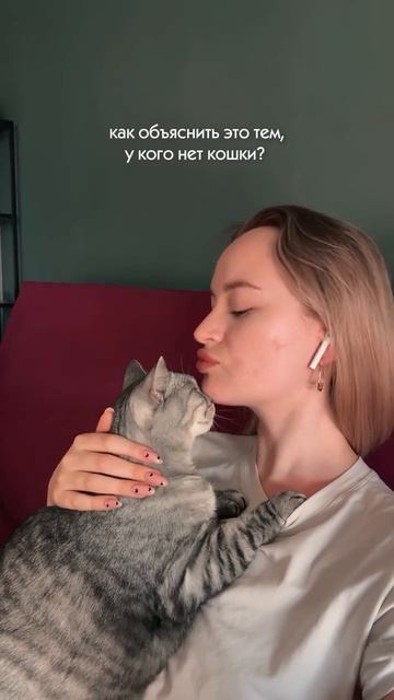 как объяснить это тем, у кого нет кошки?