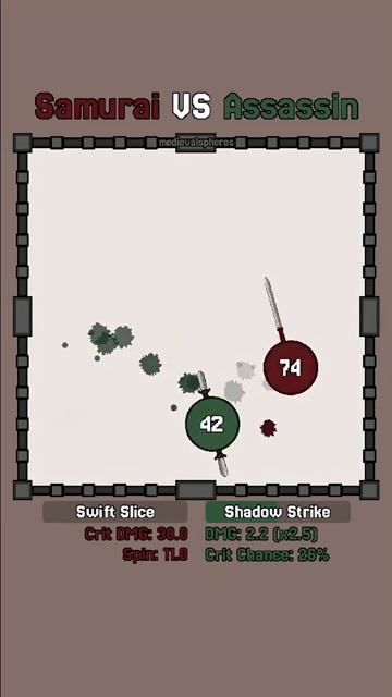 Samurai VS Assassin