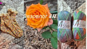 Вязовлог #11. Розы 🌹. Покупки 🧶. Готовые работы 👚 🧦