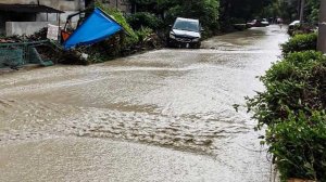 Дома залиты, урожай уничтожен: Ленобласть и Петербург уходят под воду