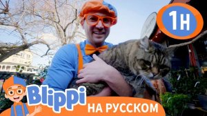 Уважайте Нашу Планету _ Изучай этот мир вместе с Блиппи _ Обучающие видео для детей