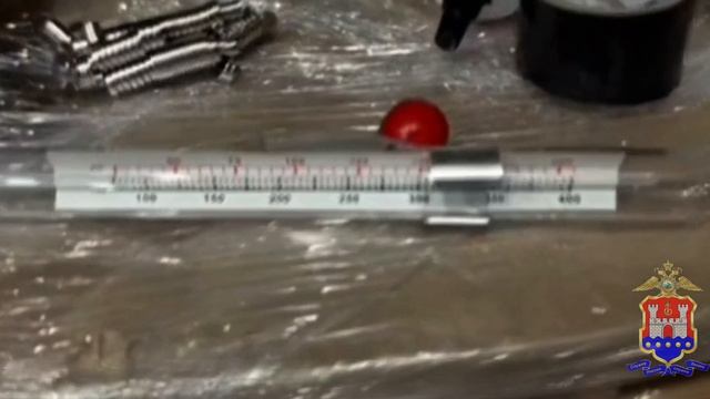 Калининградская полиция пресекла сбыт более 2 кг «синтетики» криминальной парой из посёлка Ласкино