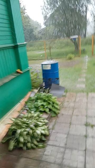 ливень