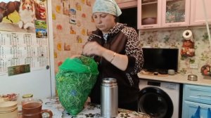 КАК ЖУЧКИ И ПАУЧКИ ГОТОВИМСЯ К ЗИМЕ, СБОР ТРАВ