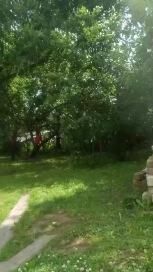 привет
