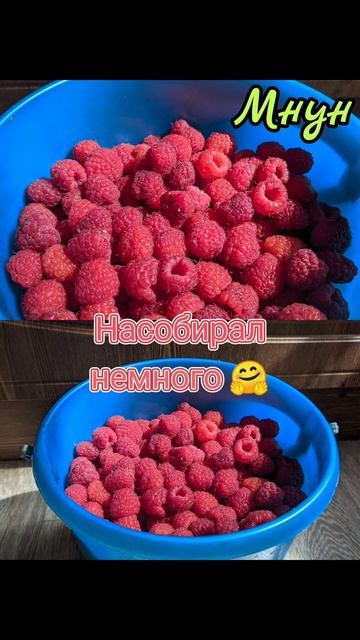 Садоводство