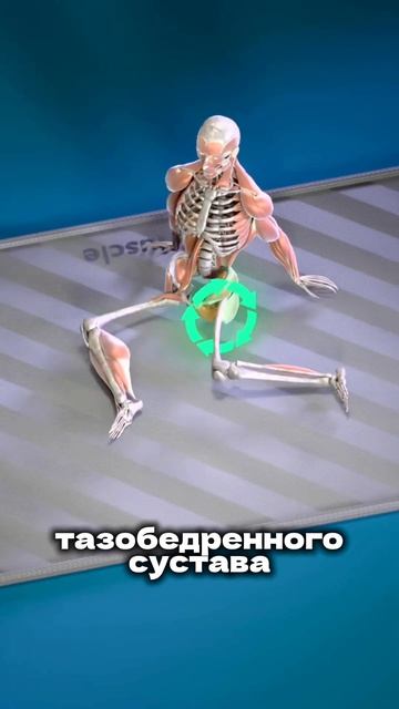 28 декабря 2025 г.